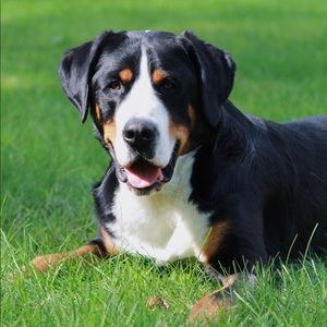 Meet your Posher, Terrie-lynn